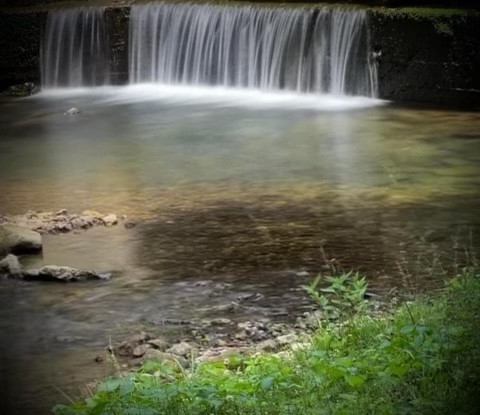 7196 Pinewood Road Nunnelly, TN 37137 - Photo 49 of 49 a view of a lake view