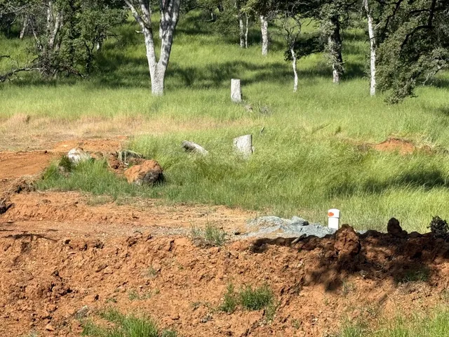 a view of a lake next to a forest