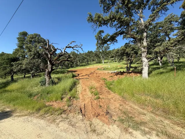 a view of lake with green space