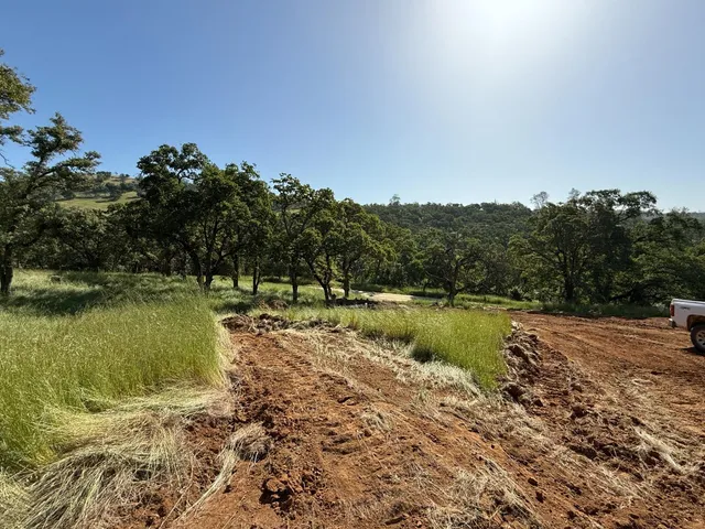 a view of yard with green space