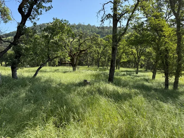 a view of a lake view