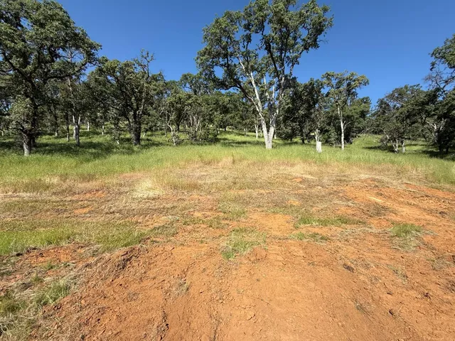 a backyard of a house with lots of green space and fog