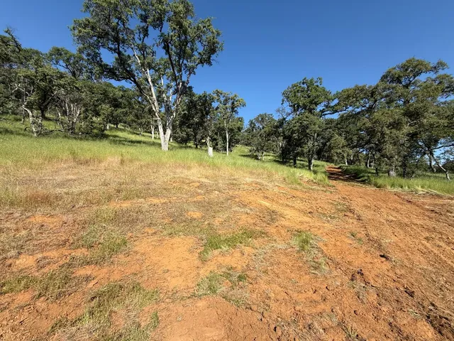 a view of a yard with a tree