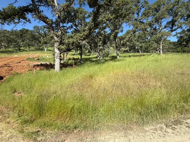 a view of swimming pool with an outdoor space