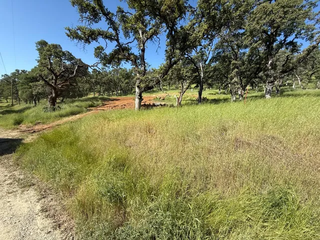 a view of a lake with a yard