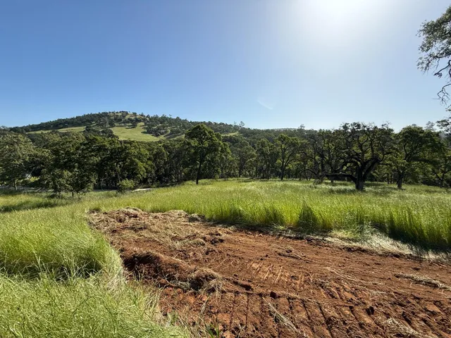 a view of a lake with a city