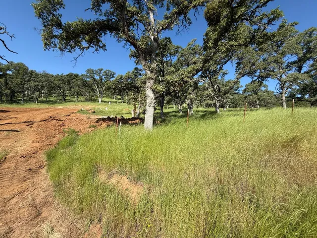 a view of a road with an ocean view