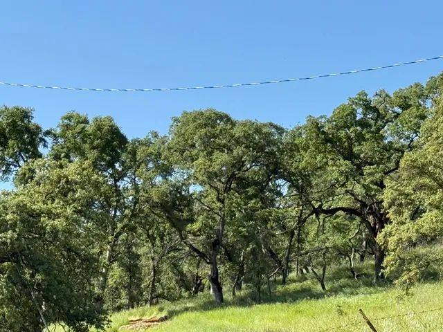 an aerial view of a houses with yard