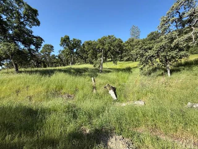 a view of a lake with houses in the back