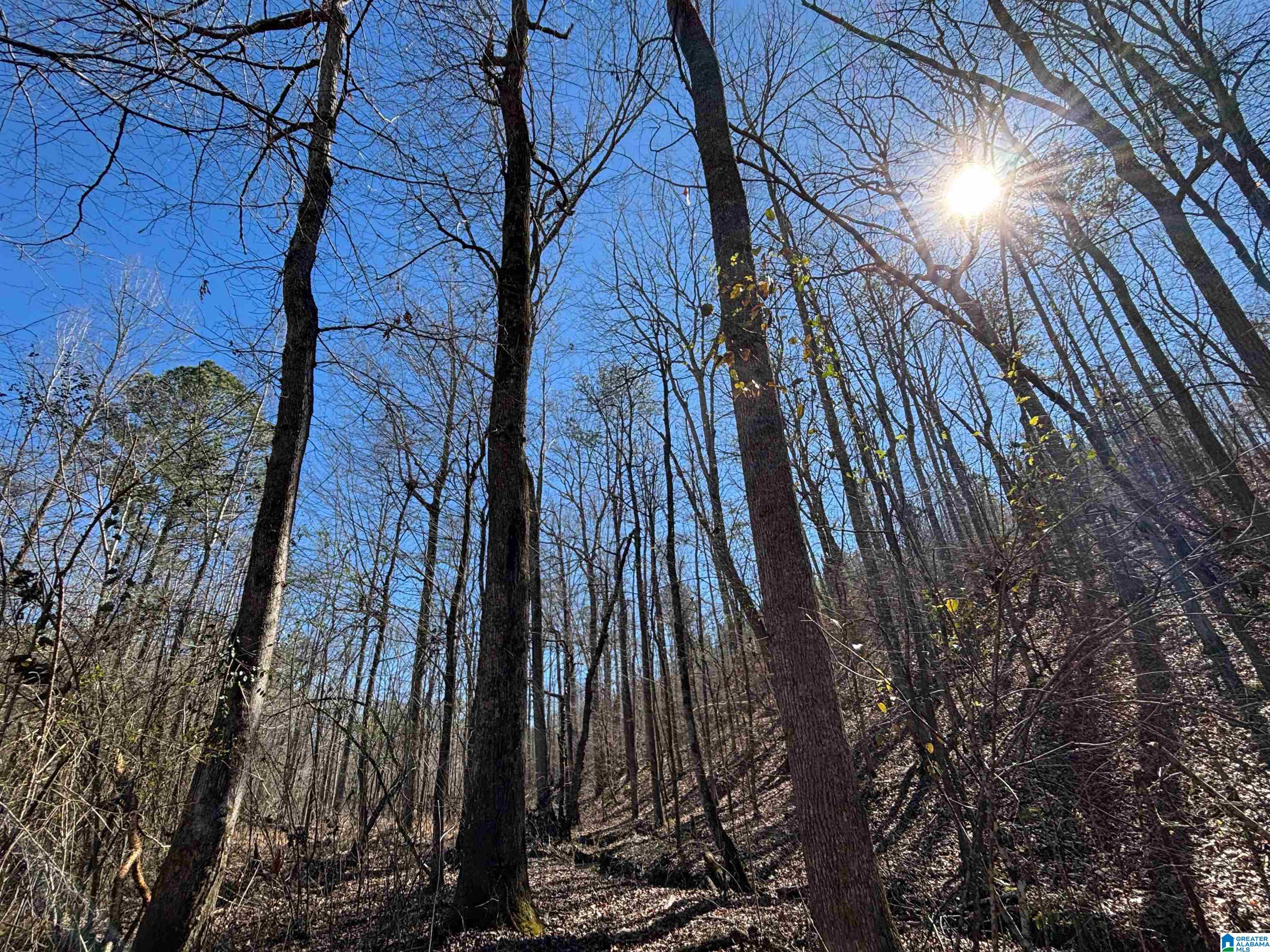 7380 Narrows Road, Unit 148 / ACRES Pinson, AL 35126 - Photo 7 of 22