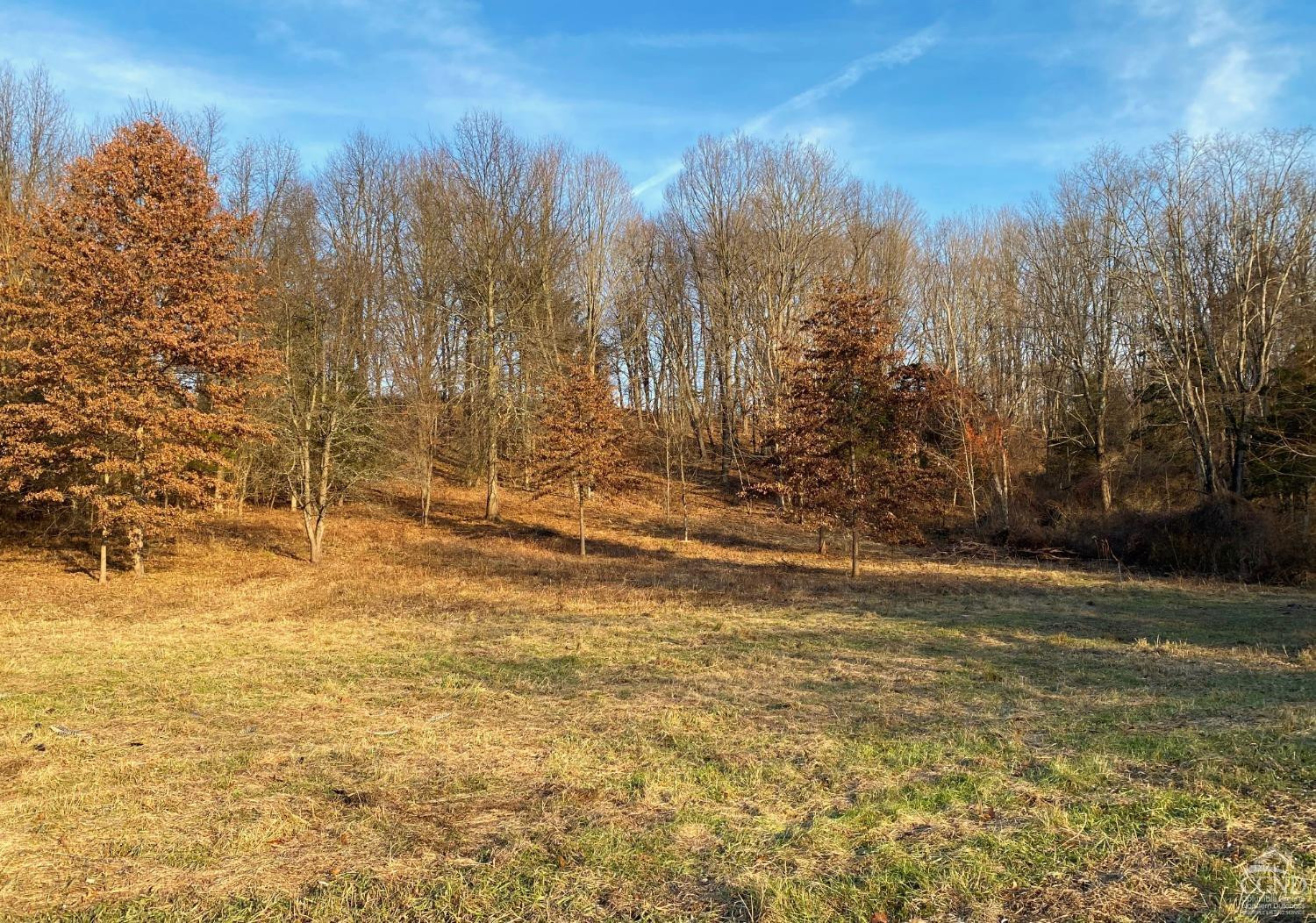0 Sky Park Lane Red Hook, NY 12571 - Photo 7 of 9 a view of yard with trees