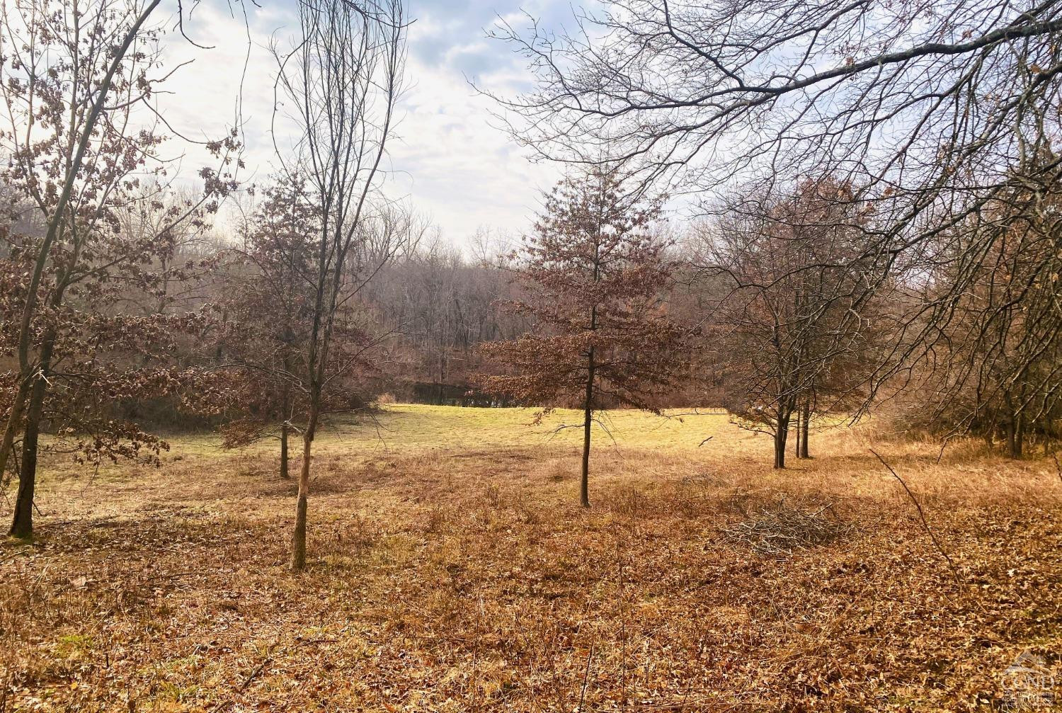 0 Sky Park Lane Red Hook, NY 12571 - Photo 8 of 9 a view of yard