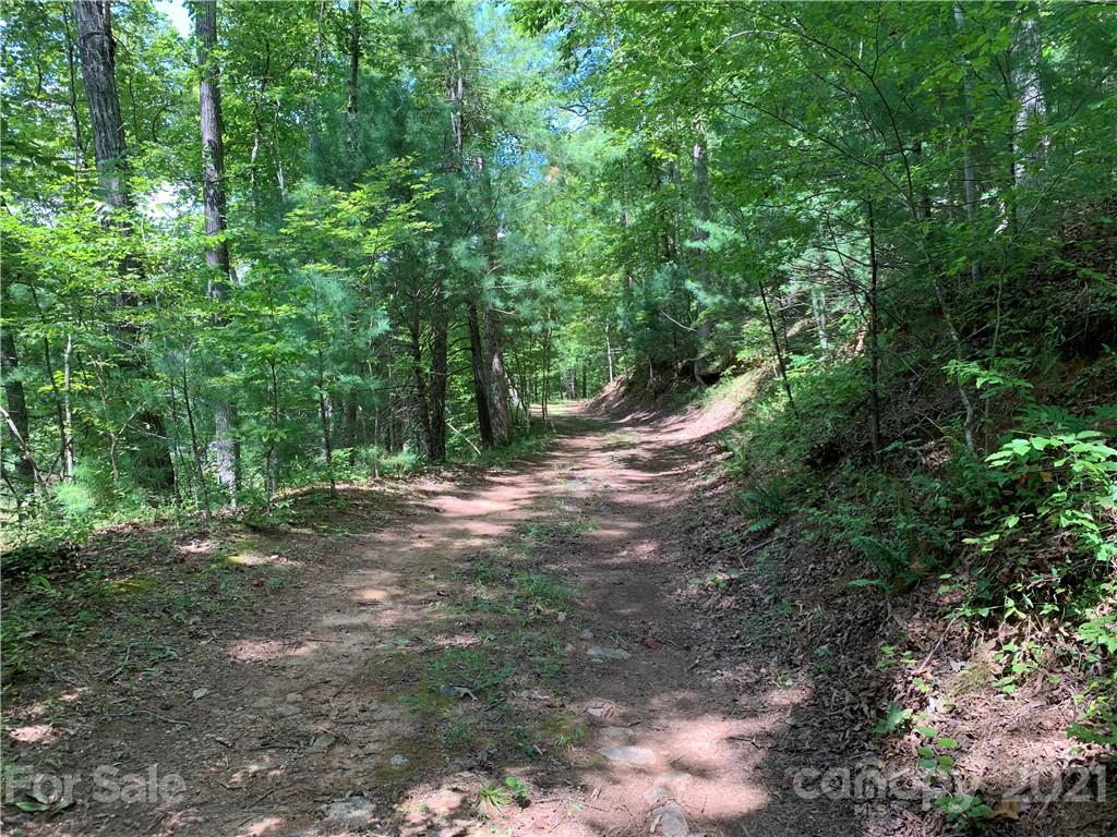 999 South Cove Road, Unit 29 & 30 Mill Spring, NC 28756 - Photo 11 of 12 a view of a forest with trees in the background