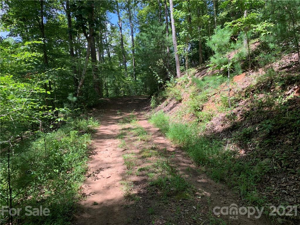 999 South Cove Road, Unit 29 & 30 Mill Spring, NC 28756 - Photo 6 of 12 a view of a pathway both side of yard