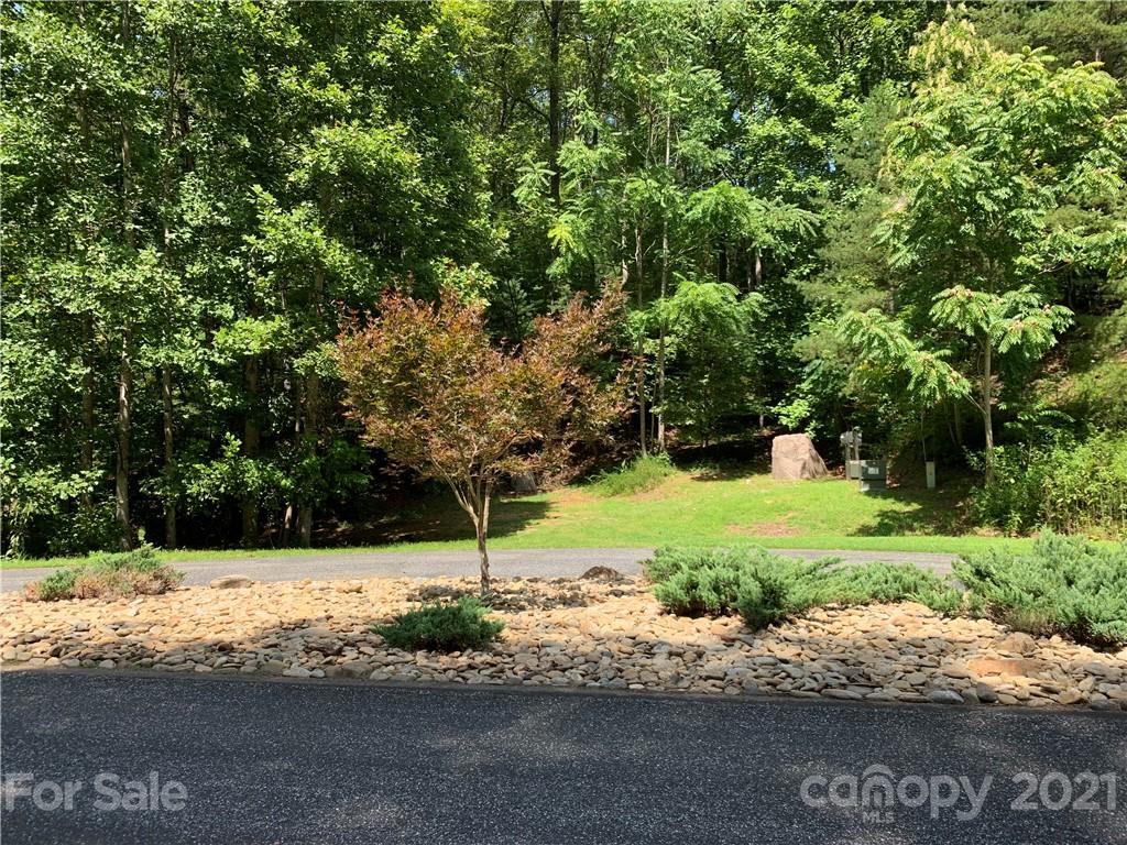 999 South Cove Road, Unit 29 & 30 Mill Spring, NC 28756 - Photo 7 of 12