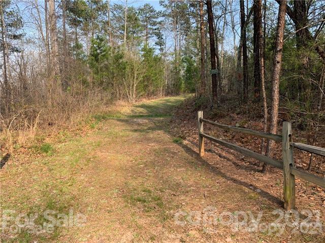 999 South Cove Road, Unit 29 & 30 Mill Spring, NC 28756 - Photo 9 of 12 a view of outdoor space and yard