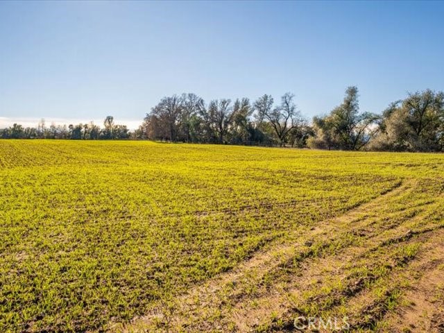 0 Old Gold Road Cottonwood, CA 96022 - Photo 45 of 53