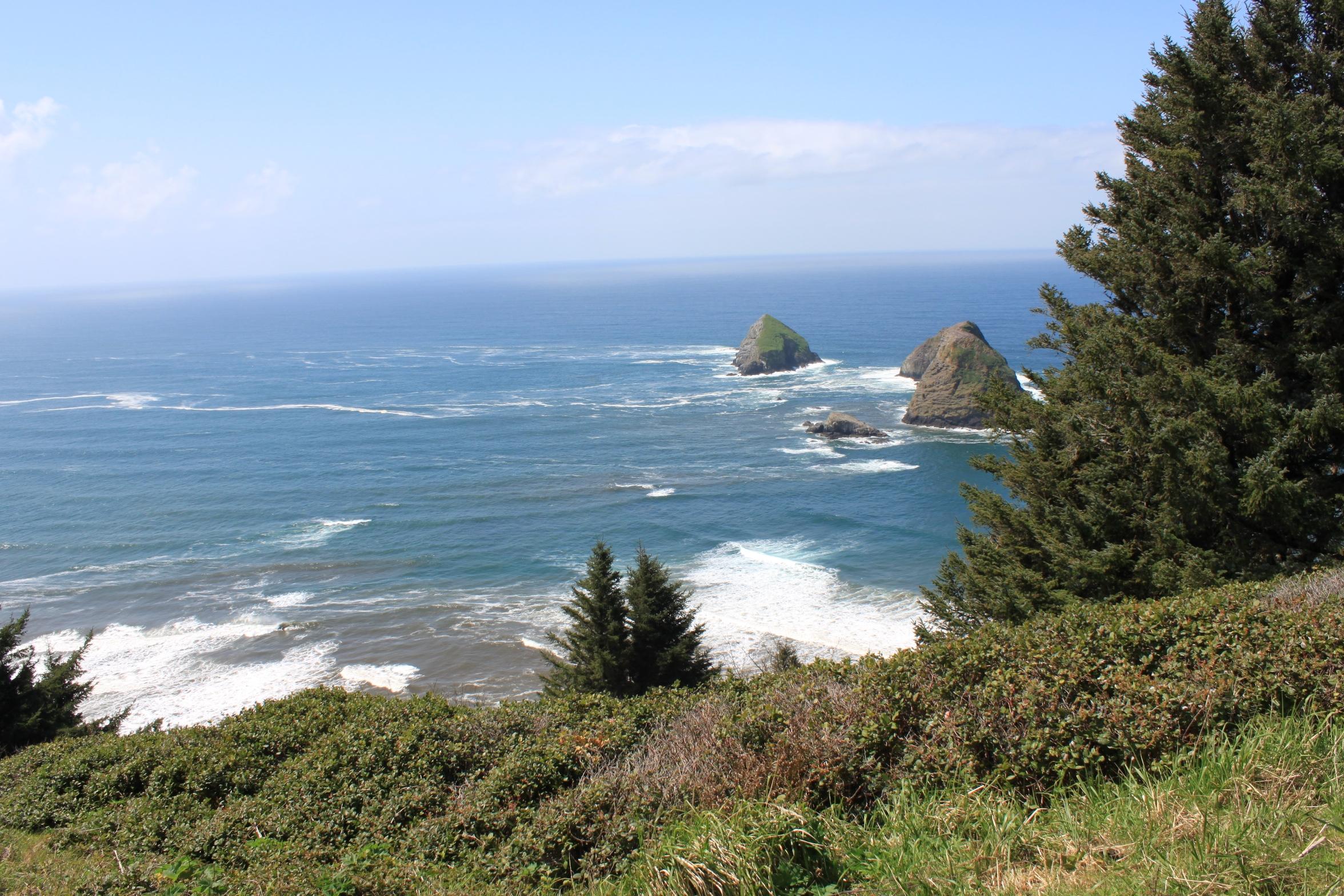 Lot1 Maxwell Mountain Road Oceanside, OR 97134 - Photo 7 of 11 20110503_0697