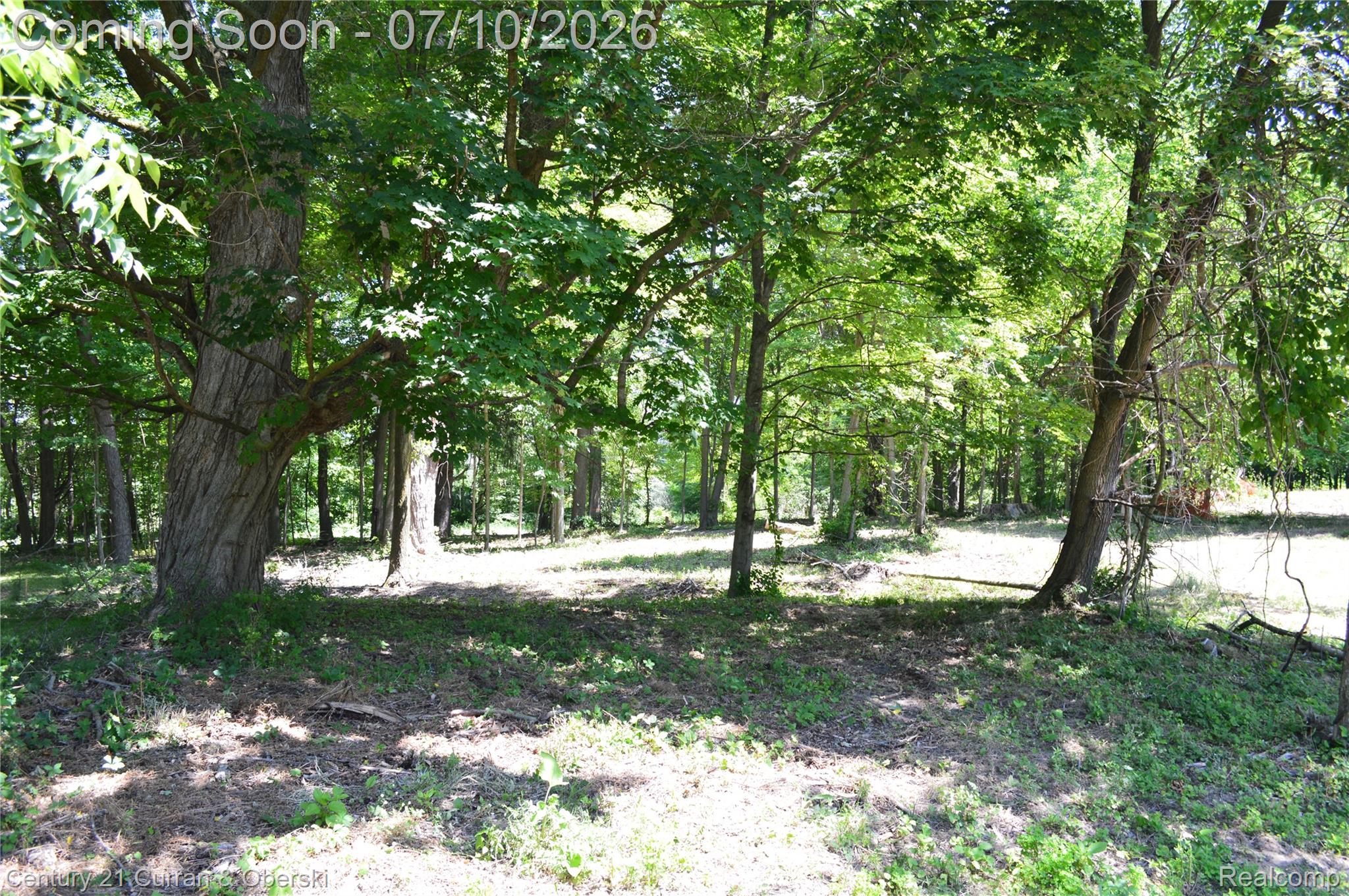 13505 Island Lake Road Chelsea, MI 48118 - Photo 18 of 23 DSC_0911.JPG