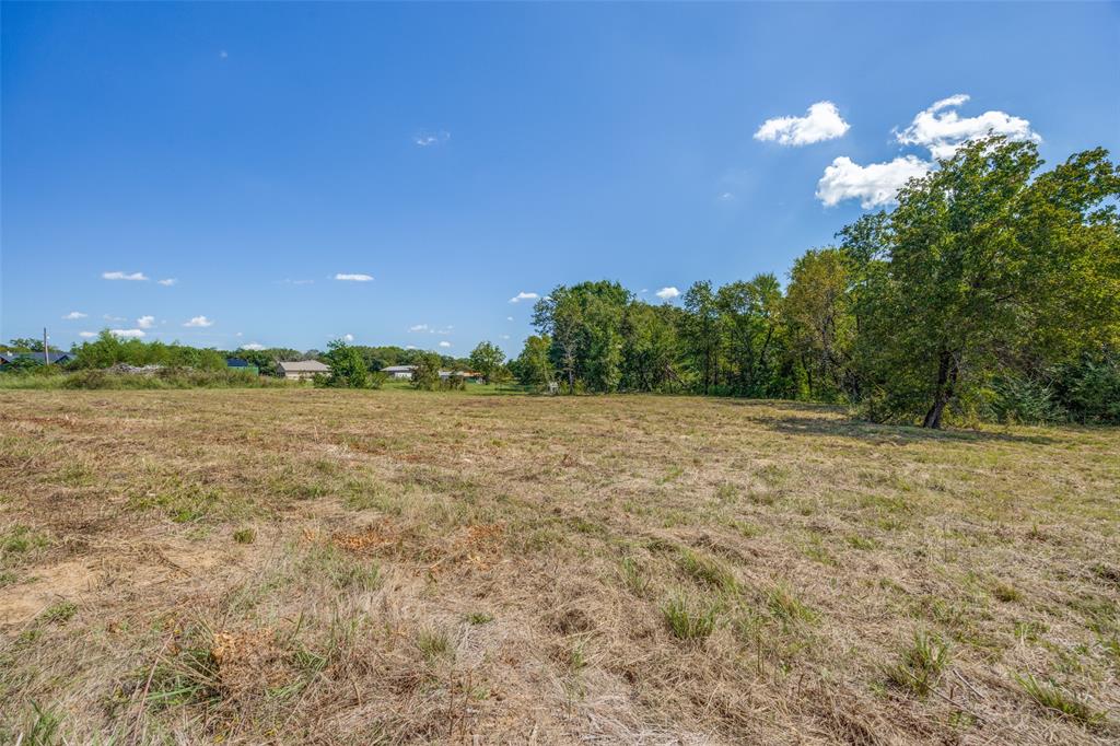 347 Copper Branch Road Whitesboro, TX 76273 - Photo 11 of 38 a view of a yard with an tree