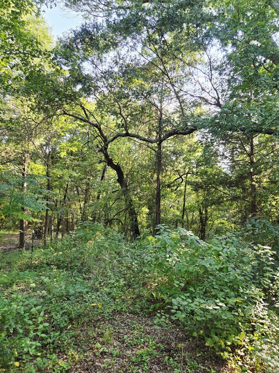 347 Copper Branch Road Whitesboro, TX 76273 - Photo 22 of 38 a big yard with lots of green space and house