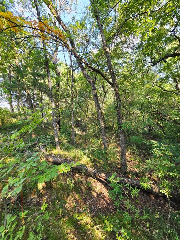 347 Copper Branch Road Whitesboro, TX 76273 - Photo 27 of 38 a backyard of a house with lots of green space