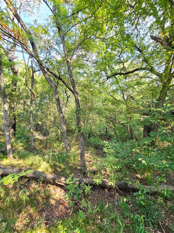 347 Copper Branch Road Whitesboro, TX 76273 - Photo 28 of 38 a view of a tree in a yard
