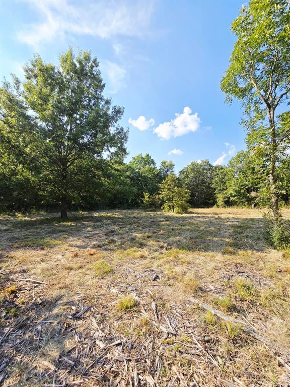 347 Copper Branch Road Whitesboro, TX 76273 - Photo 33 of 38 a view of a lake view