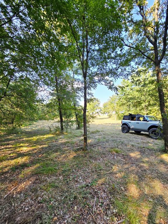347 Copper Branch Road Whitesboro, TX 76273 - Photo 34 of 38 a view of a yard with car parked