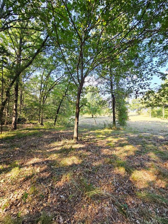 347 Copper Branch Road Whitesboro, TX 76273 - Photo 35 of 38 a view of a yard with a tree