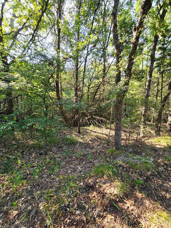347 Copper Branch Road Whitesboro, TX 76273 - Photo 36 of 38 a view of outdoor space and trees