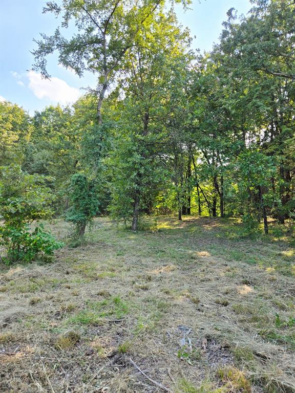 347 Copper Branch Road Whitesboro, TX 76273 - Photo 37 of 38 a view of outdoor space with trees