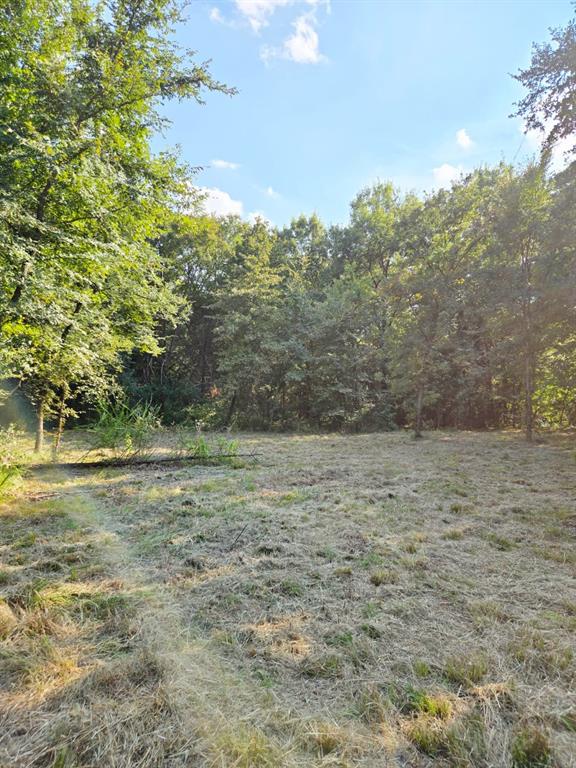 347 Copper Branch Road Whitesboro, TX 76273 - Photo 38 of 38 a view of a yard