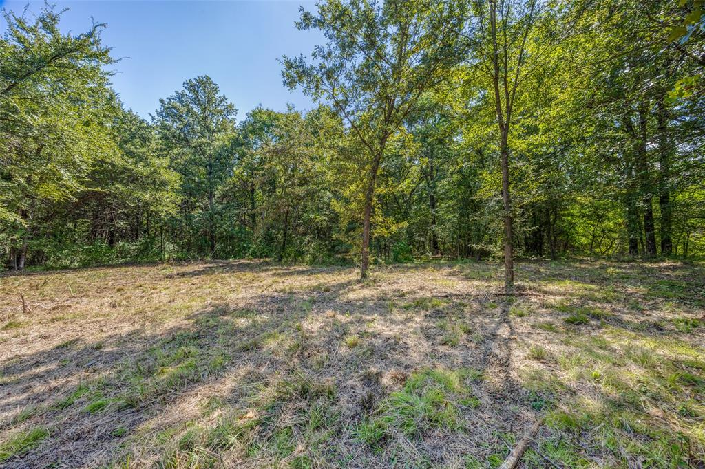347 Copper Branch Road Whitesboro, TX 76273 - Photo 10 of 38 a view of a yard with a tree