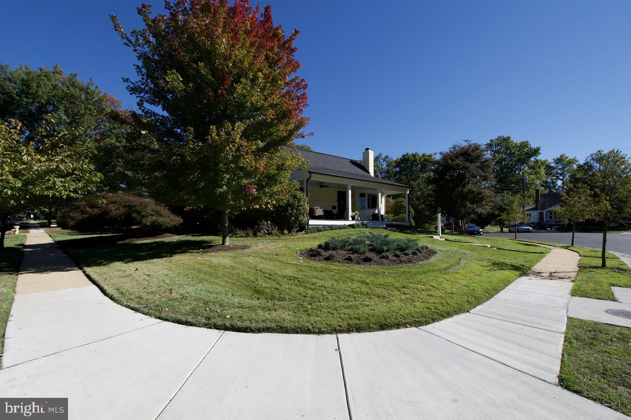 5005 Rhoades Place Alexandria, VA 22304 - Photo 50 of 55 BRAND NEW SIDEWALKS - PROFESSIONALLY LANDSCAPED