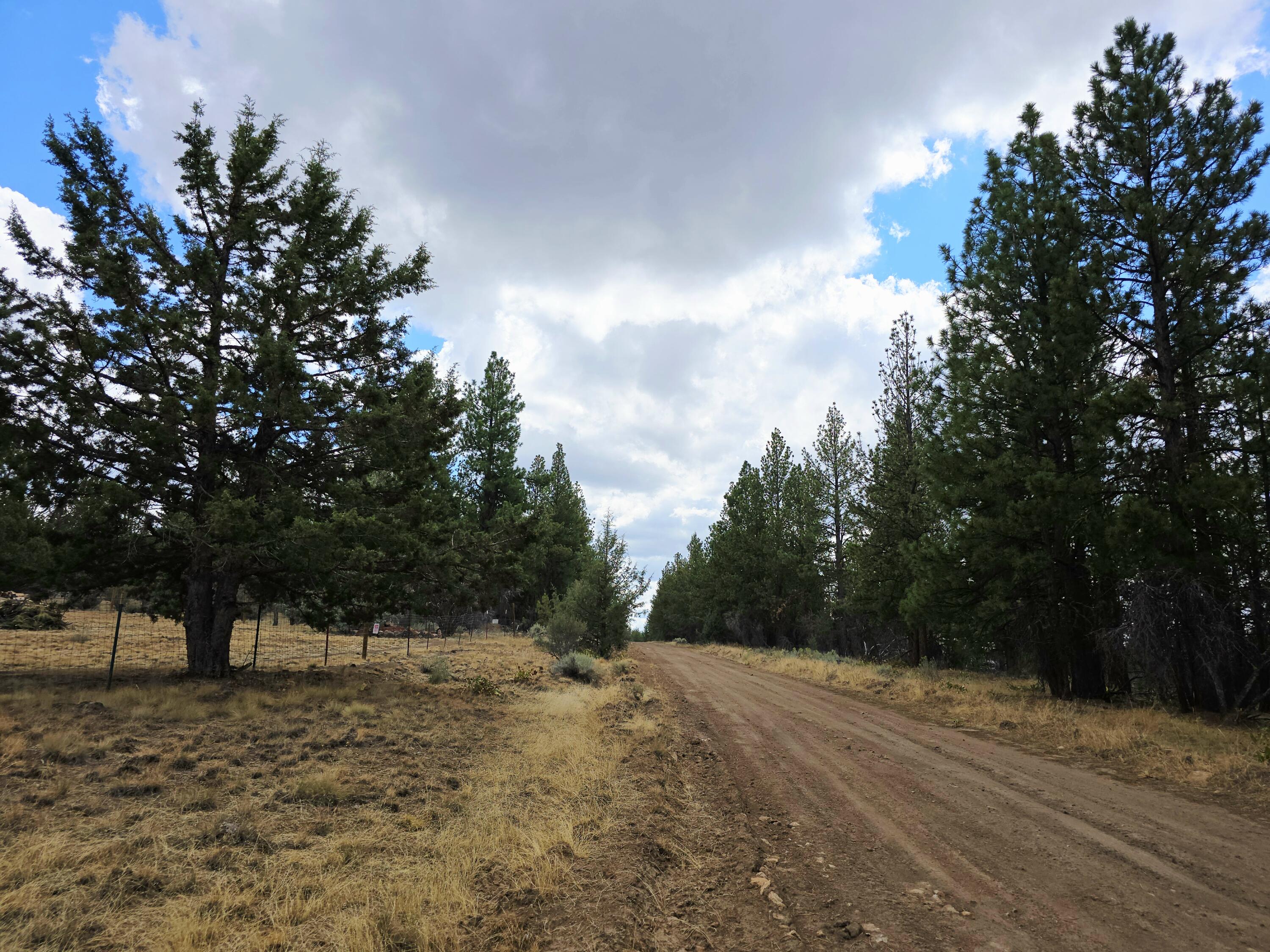 48070 Partin Drive Beatty, OR 97621 - Photo 24 of 29 The road