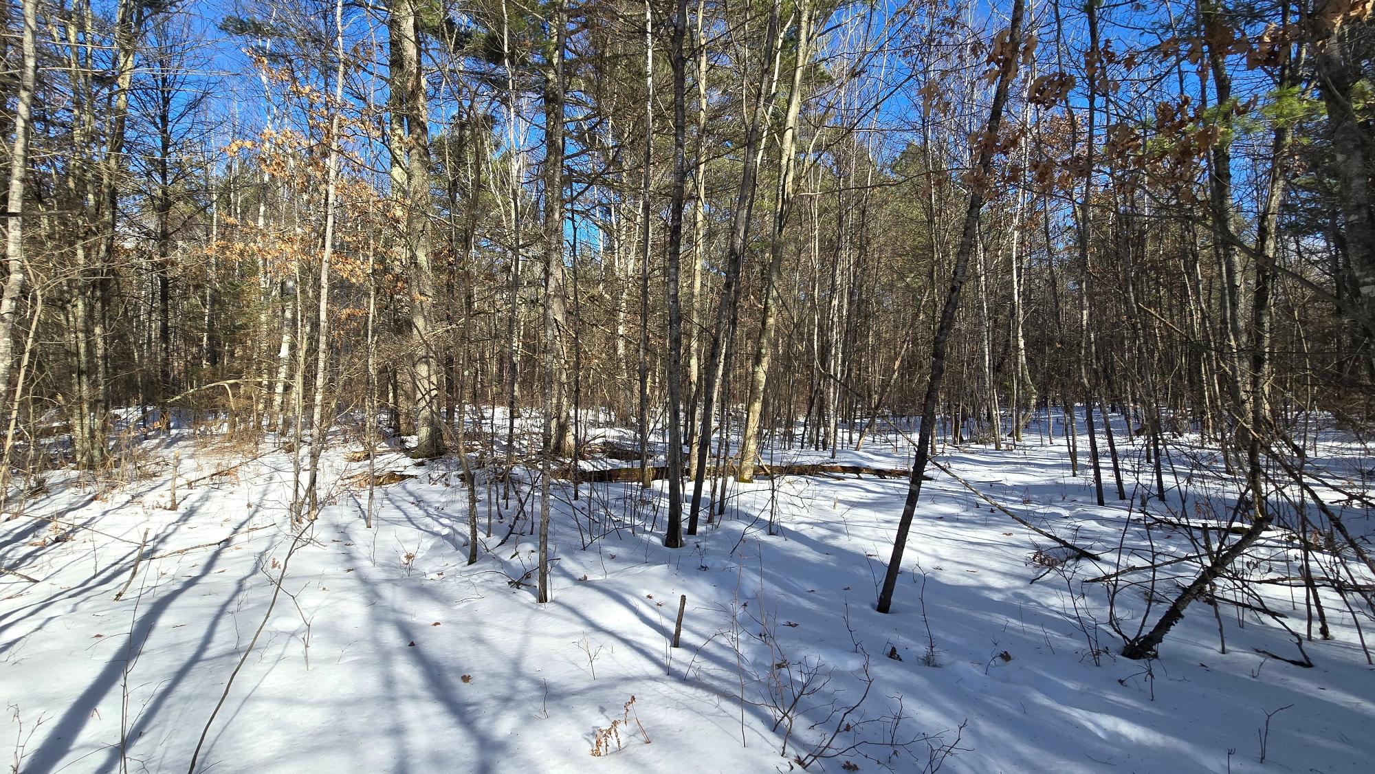 Off Clear Lake Road, Unit 40 ACRES Pearson, WI 54462 - Photo 17 of 29 Gallery Image 17