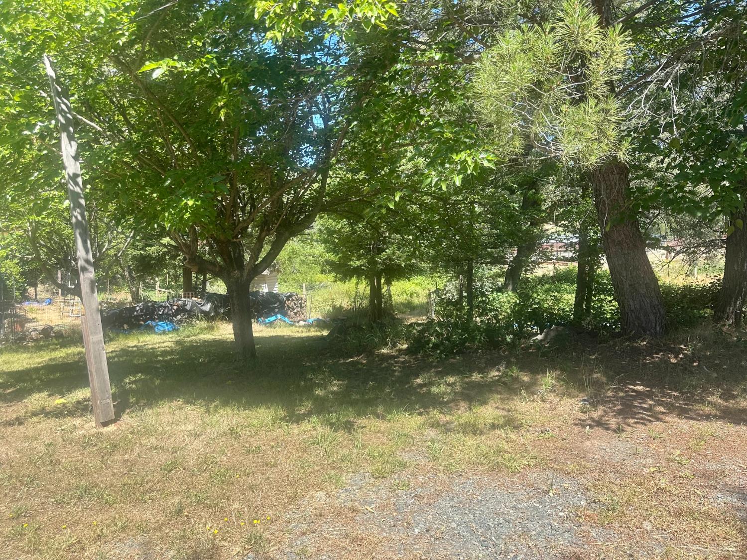 16216 Duggans Road Grass Valley, CA 95949 - Photo 22 of 33