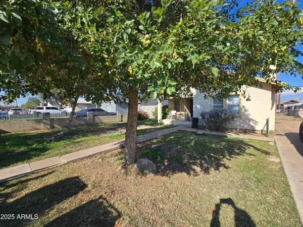 a view of a yard with plants and trees