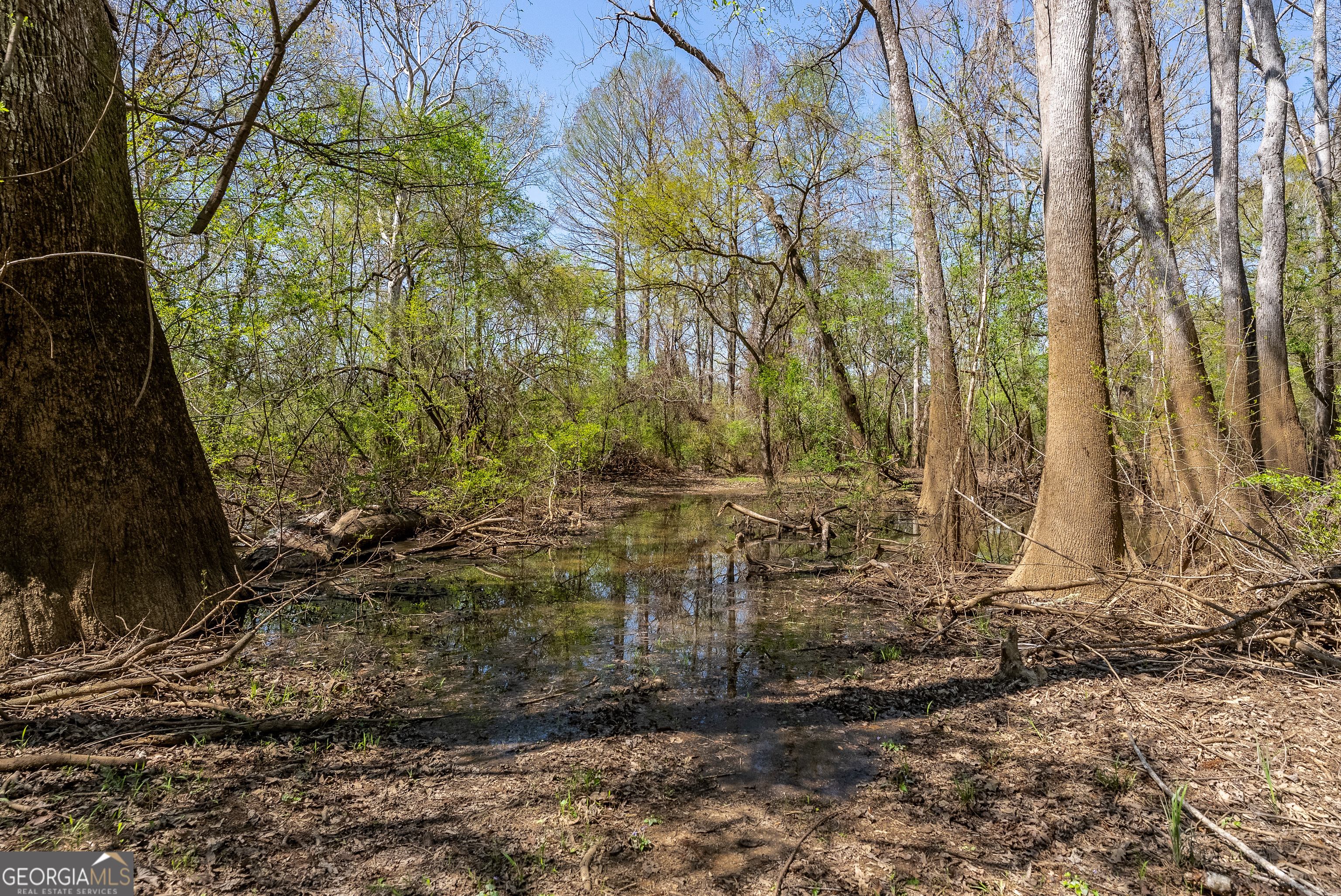 1102 Three Rivers Lane Uvalda, GA 30473 - Photo 13 of 52