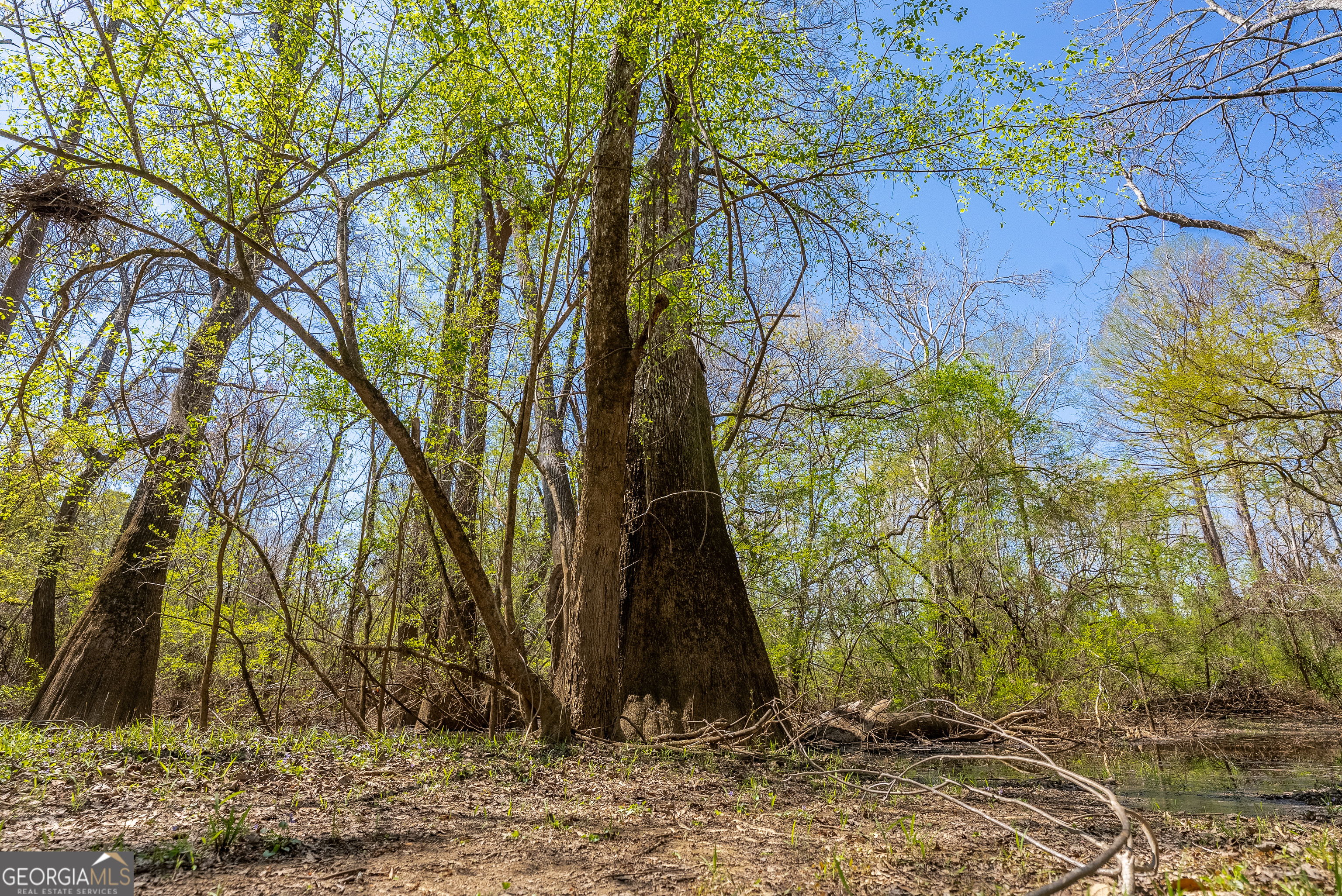 1102 Three Rivers Lane Uvalda, GA 30473 - Photo 14 of 52