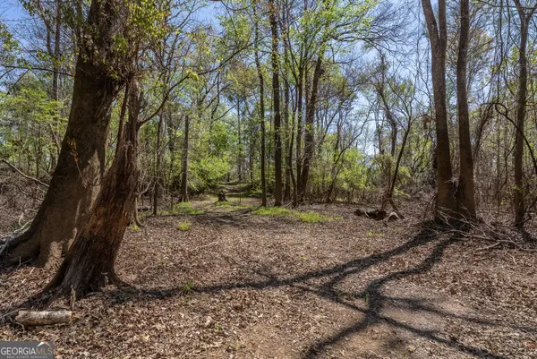 a view of a yard with trees