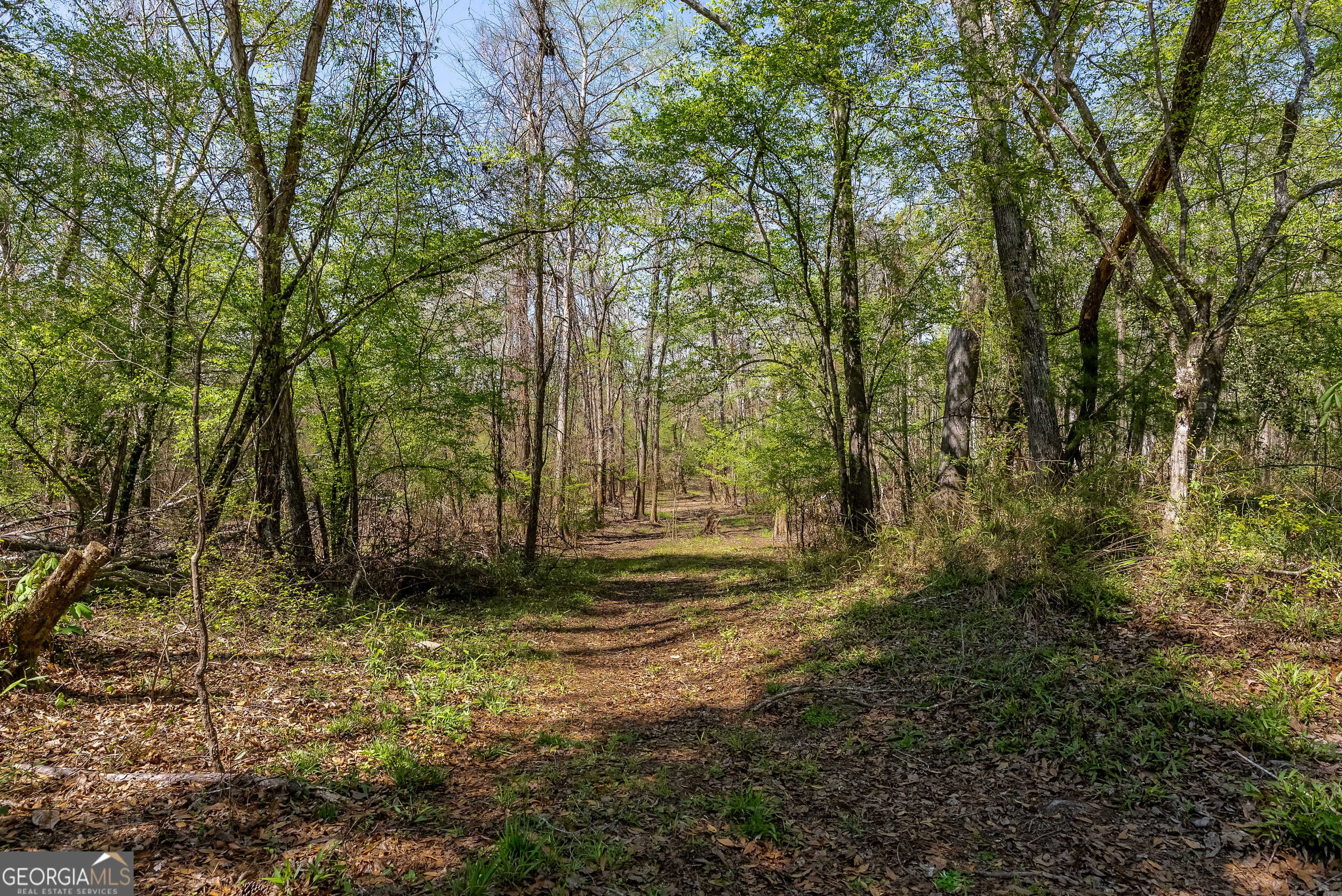 1102 Three Rivers Lane Uvalda, GA 30473 - Photo 16 of 52