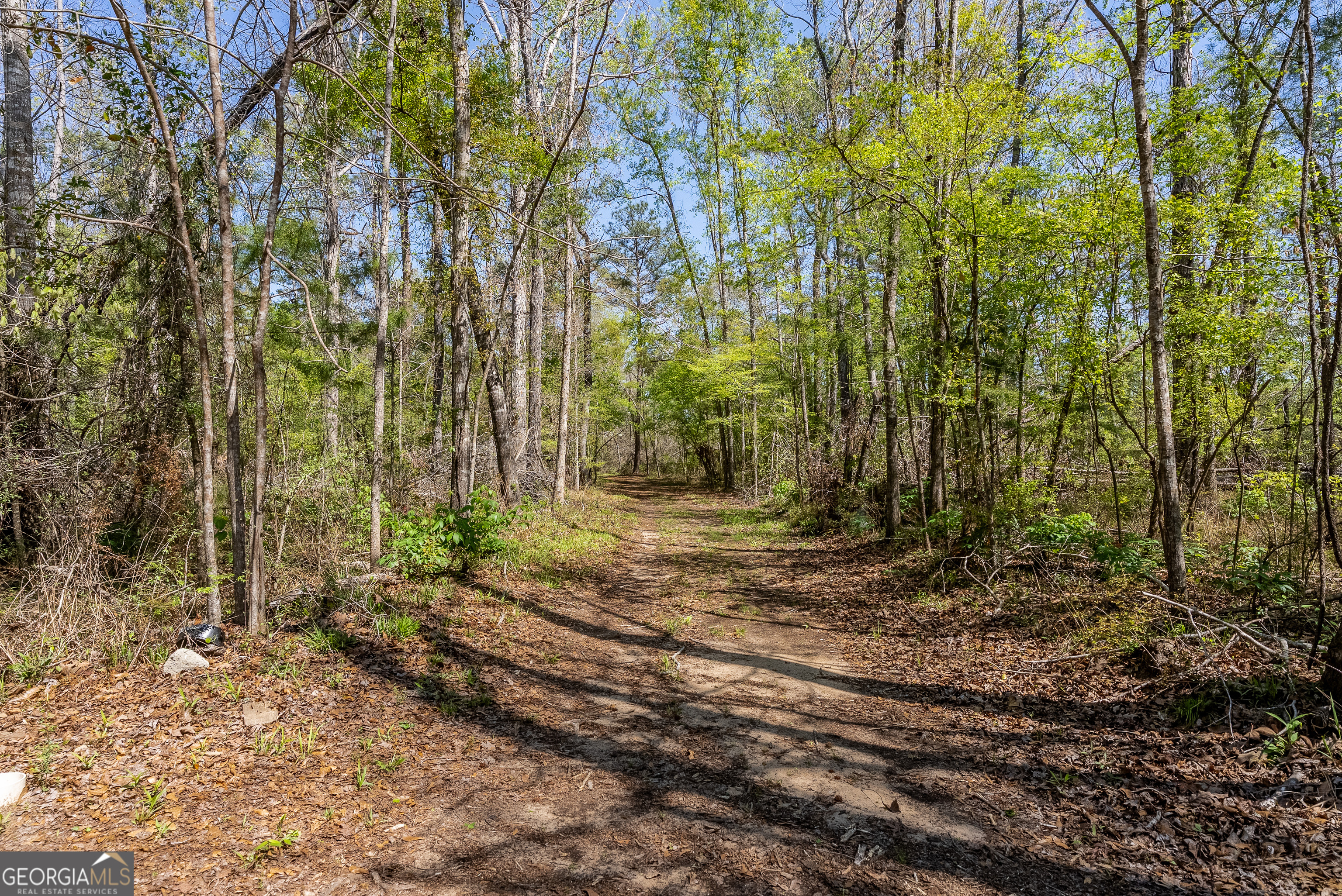 1102 Three Rivers Lane Uvalda, GA 30473 - Photo 17 of 52