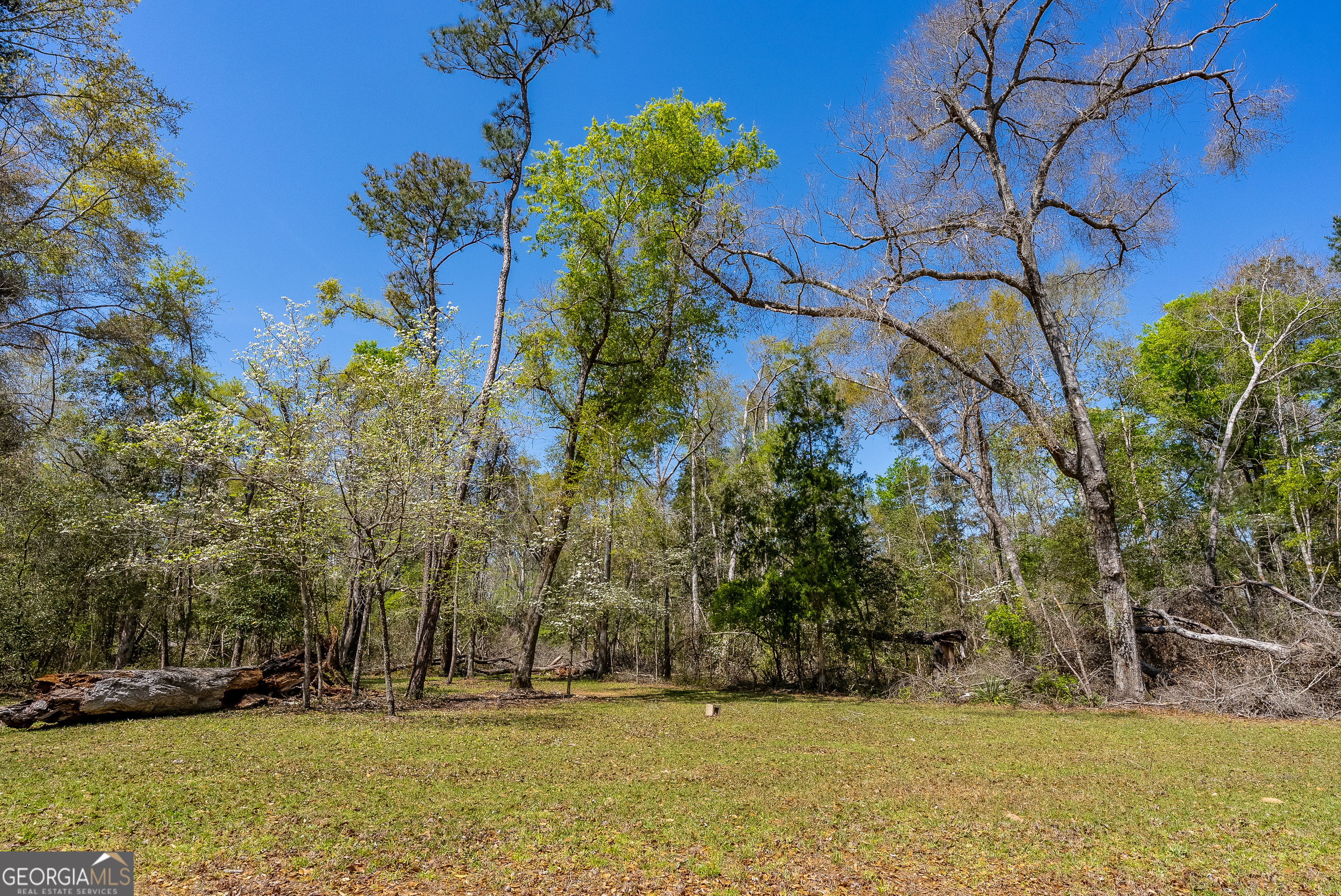 1102 Three Rivers Lane Uvalda, GA 30473 - Photo 18 of 52