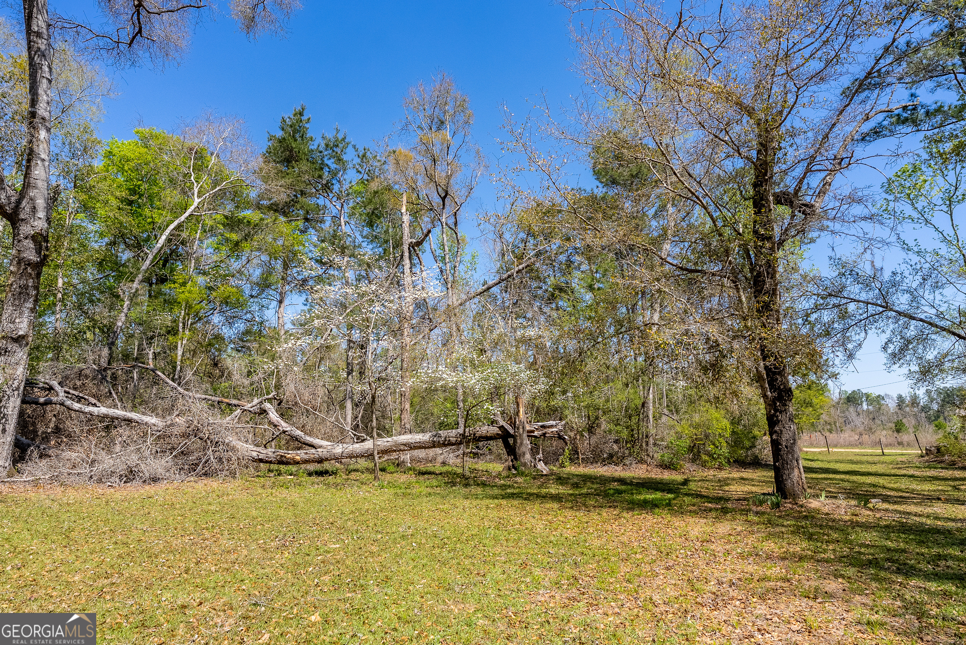 1102 Three Rivers Lane Uvalda, GA 30473 - Photo 19 of 52