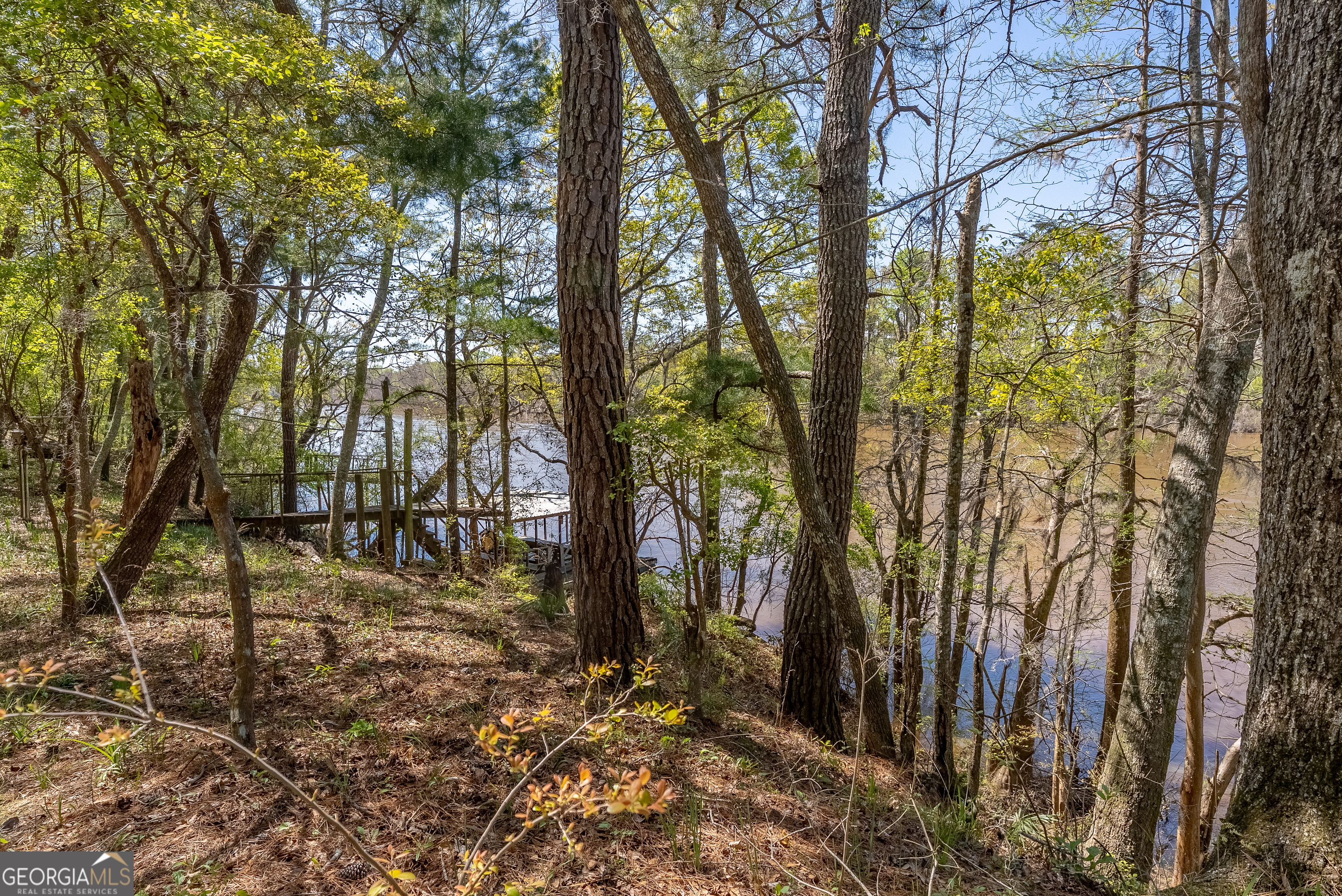 1102 Three Rivers Lane Uvalda, GA 30473 - Photo 20 of 52