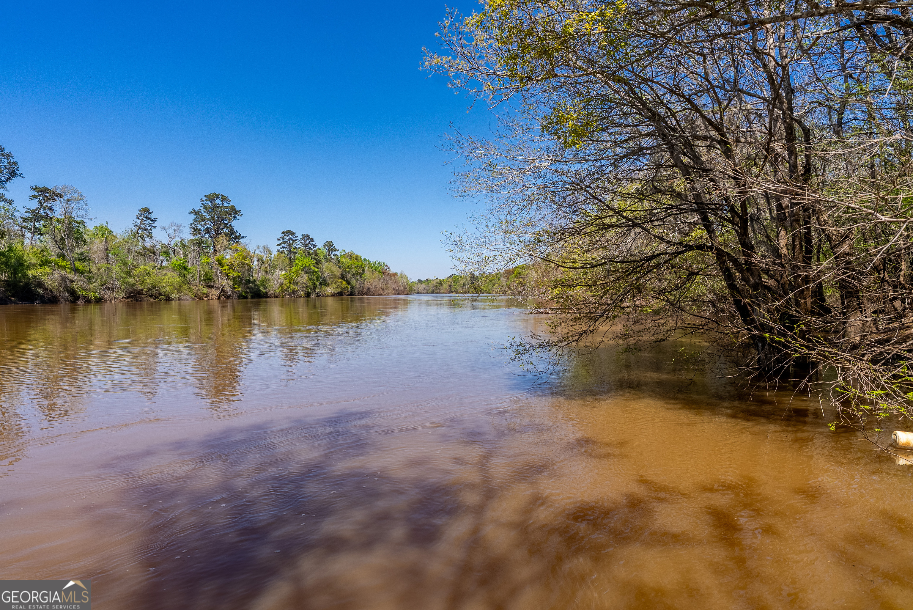 1102 Three Rivers Lane Uvalda, GA 30473 - Photo 23 of 52