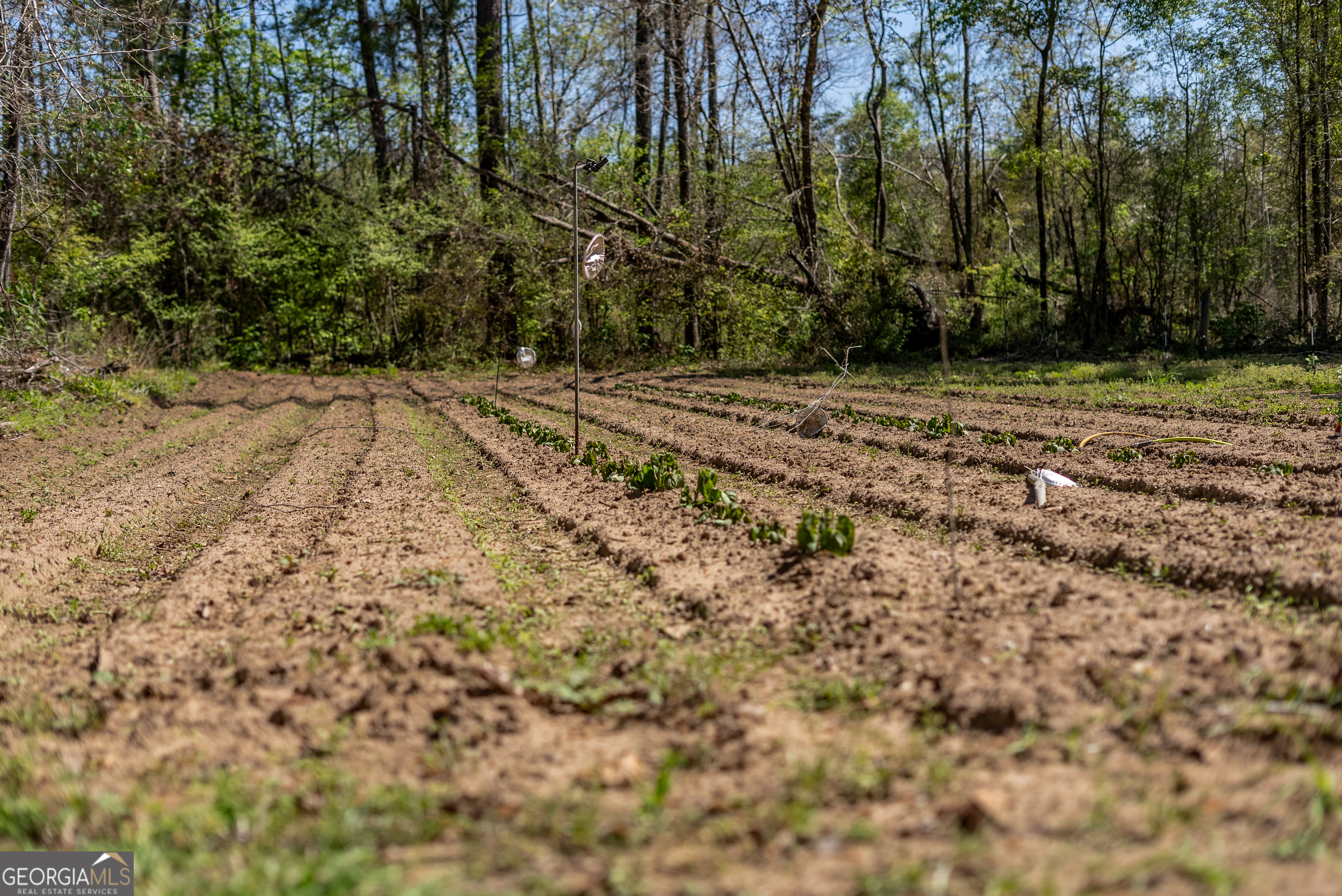 1102 Three Rivers Lane Uvalda, GA 30473 - Photo 26 of 52