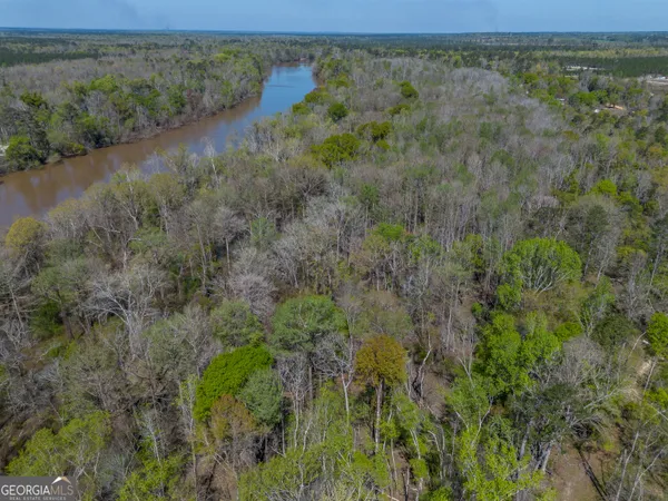 a view of a lush green forest with a lake and trees